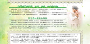 智慧森林 童裝品牌新勢力，攜手遠大恒通共創未來