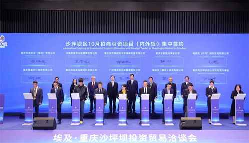 重慶沙坪壩投資貿易洽談會成功舉行，簽約6個對非經貿合作項目助力信息咨詢服務升級